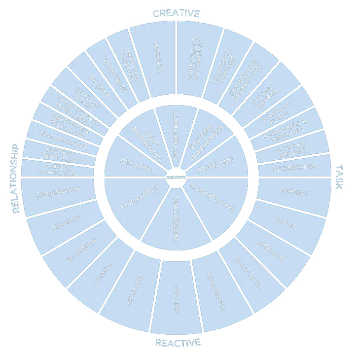 Leadership Circle Profile Square